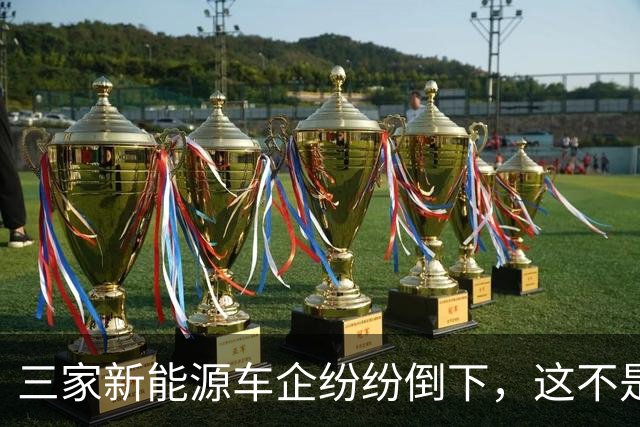 三家新能源车企纷纷倒下，这不是价格战，是蓄谋已久的资本大逃杀