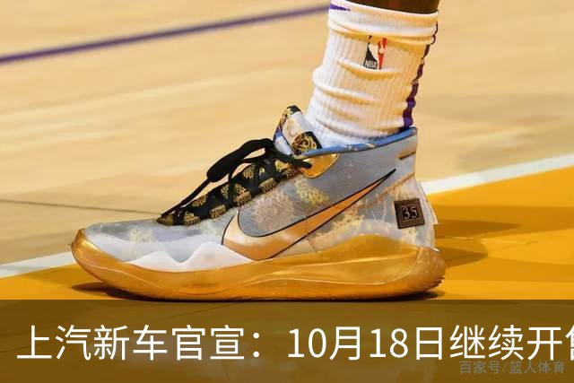 上汽新车官宣：10月18日继续开售，8.99万起