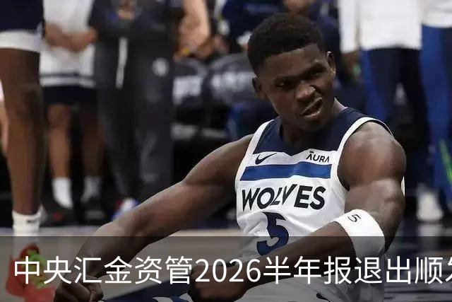 中央汇金资管2026半年报退出顺发恒能、云南能投前十大股东名单！