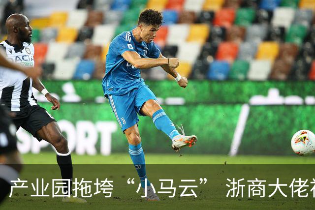 产业园拖垮“小马云” 浙商大佬被立案侦查