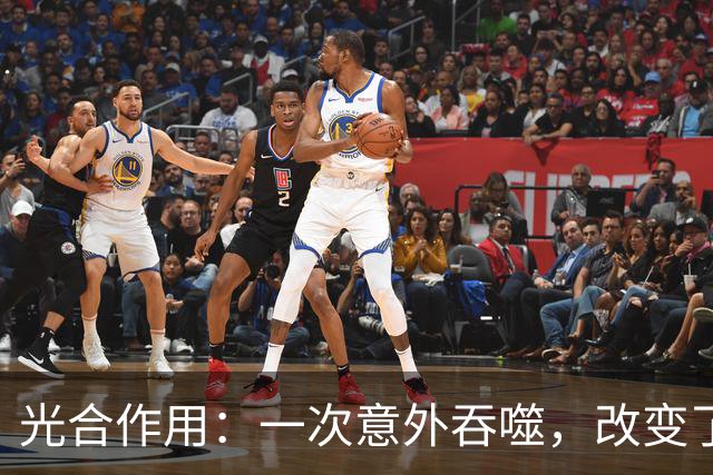 光合作用：一次意外吞噬，改变了整个地球