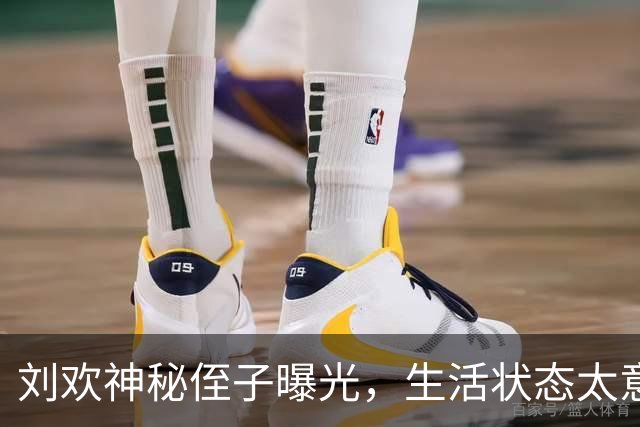 刘欢神秘侄子曝光，生活状态太意外
