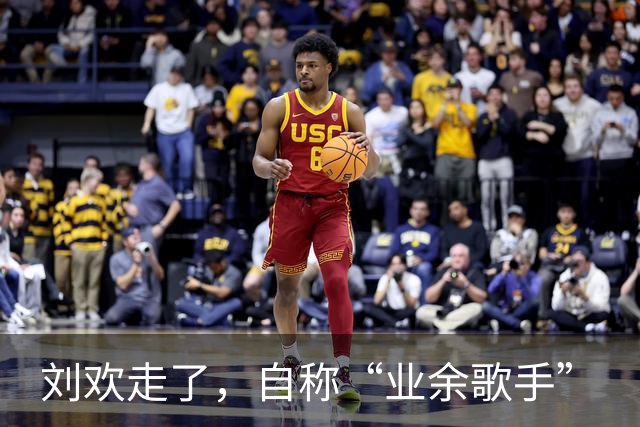 刘欢走了，自称“业余歌手”