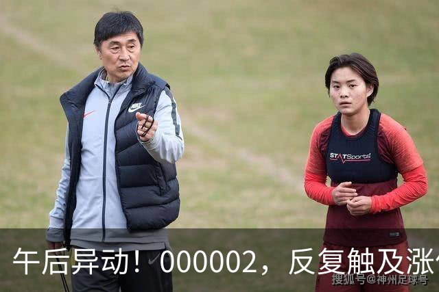 午后异动！000002，反复触及涨停