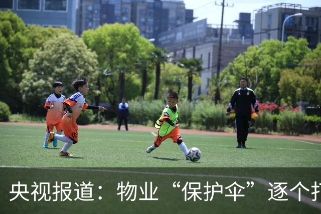 央视报道：物业“保护伞”逐个打破，查案1.2万件，6481人被处分