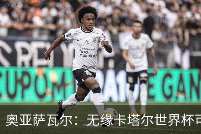 奥亚萨瓦尔：无缘卡塔尔世界杯可能是命运，让我等来今年这届