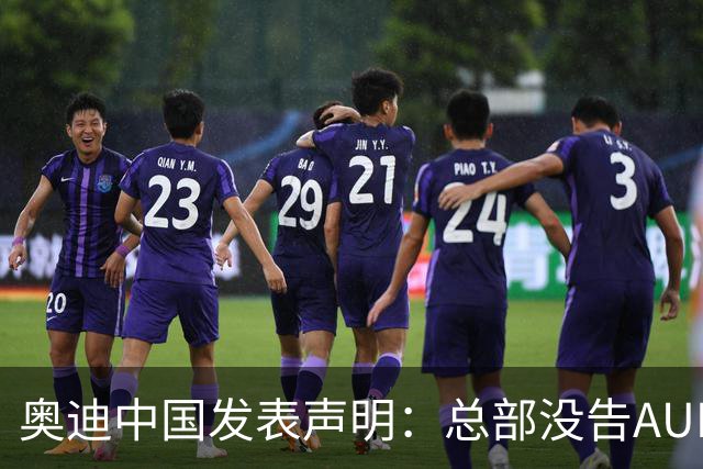 奥迪中国发表声明：总部没告AUDI，告的是平行进口商