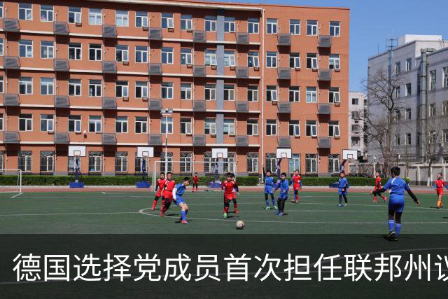 德国选择党成员首次担任联邦州议会议长