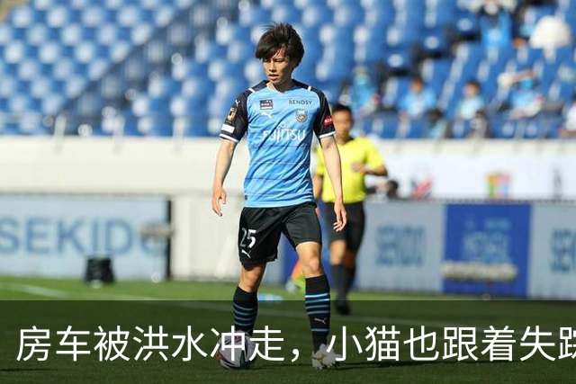房车被洪水冲走，小猫也跟着失踪，8天后它突然回家了，全家人都哭了