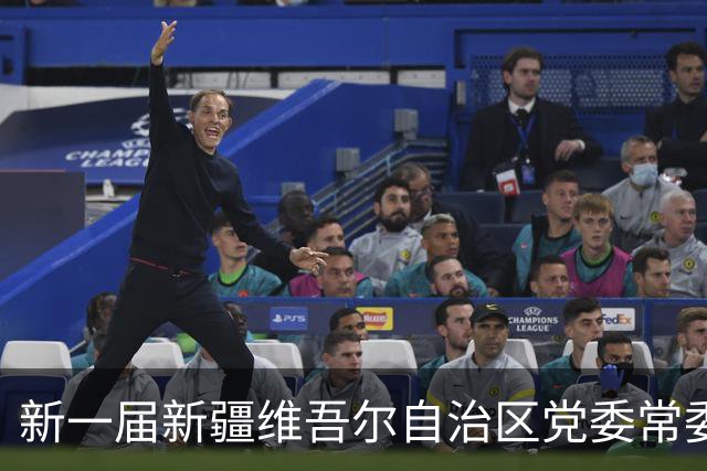 新一届新疆维吾尔自治区党委常委简历