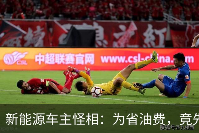新能源车主怪相：为省油费，竟先花十几万买车，再砸几万买车位