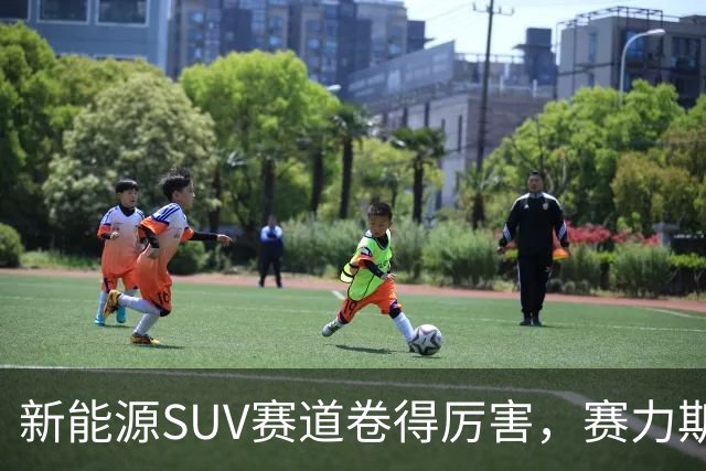 新能源SUV赛道卷得厉害，赛力斯新款问界M8，兼顾豪华大空间+鸿蒙智驾