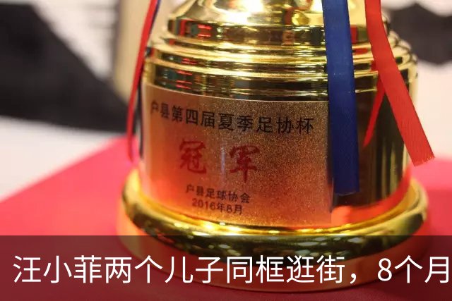汪小菲两个儿子同框逛街，8个月小儿子壮实可爱，10岁霖霖1米6多了！