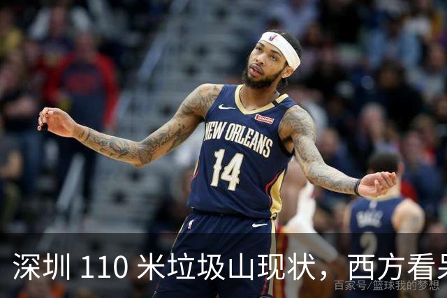 深圳 110 米垃圾山现状，西方看呆了：中国已经陷入＂垃圾荒＂