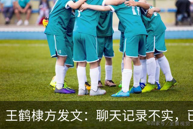 王鹤棣方发文：聊天记录不实，已报案