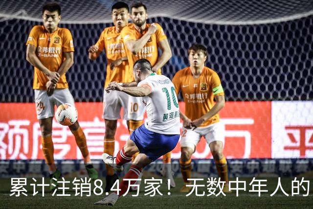 累计注销8.4万家！无数中年人的“庇护所”，如今为何跌下神坛？