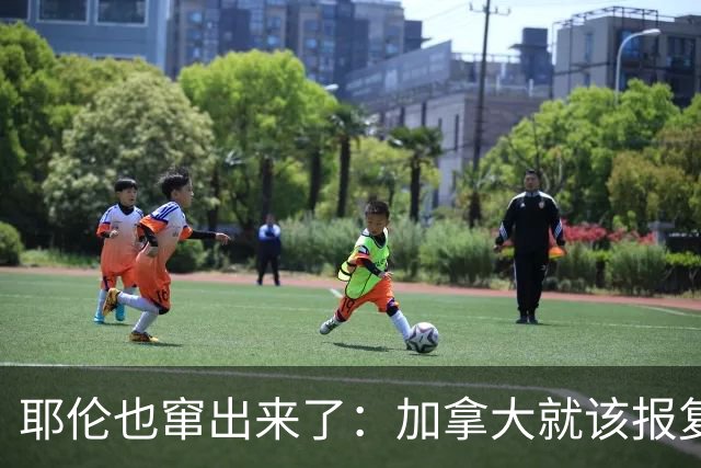 耶伦也窜出来了：加拿大就该报复美国，不团结怎么对付中国？