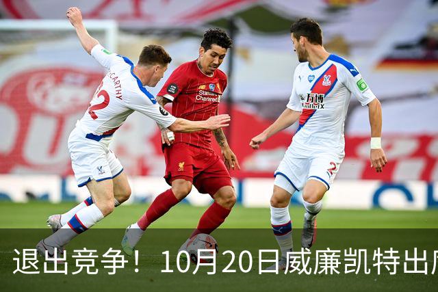 退出竞争！10月20日威廉凯特出席公务，哈里梅根的在职说不攻自破