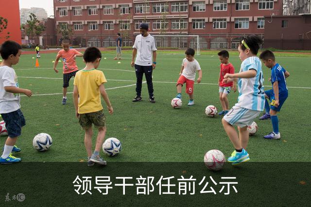 领导干部任前公示